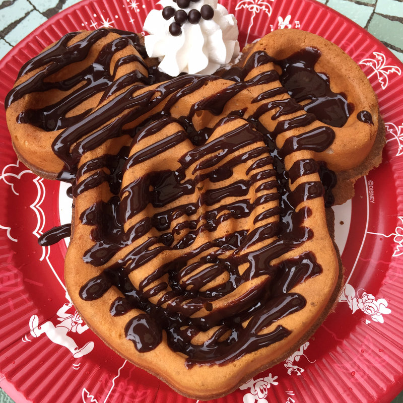 (ディズニーランド)