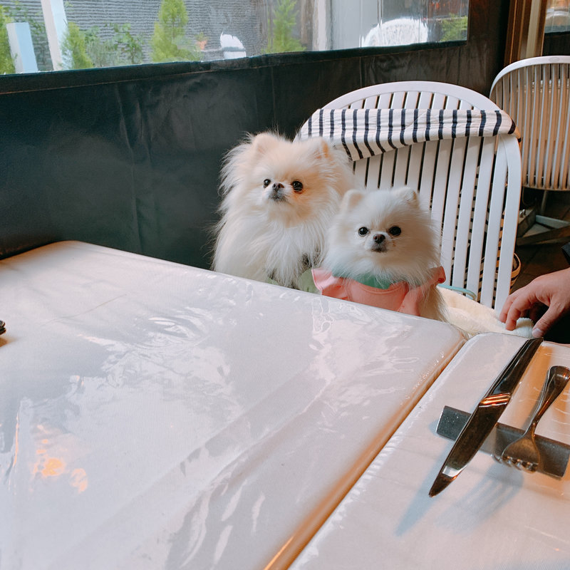 イタリアン ピザ パスタ(es classico)