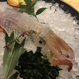 博多駅周辺で食べられる刺身ランキング Sarah サラ