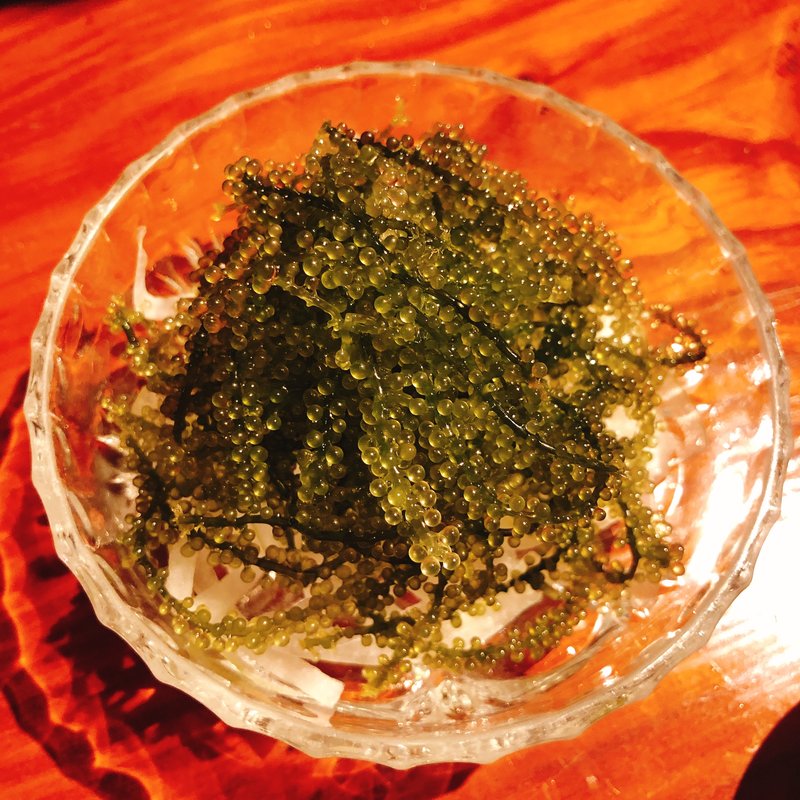 海ぶどう(くすくす )