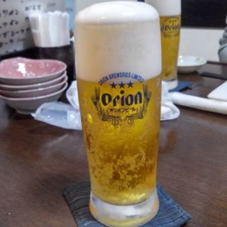 生ビール(チョモランマ )