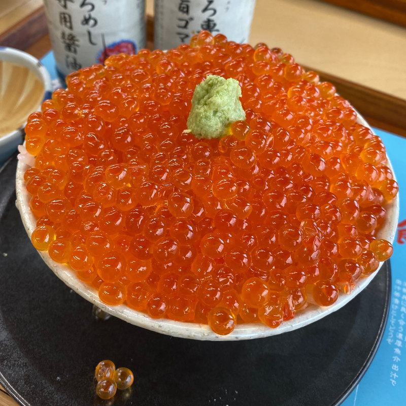 たっぷりイクラ丼(小田原漁港　とと丸食堂)