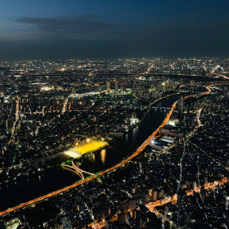 (ベルサイユの豚 錦糸町 )