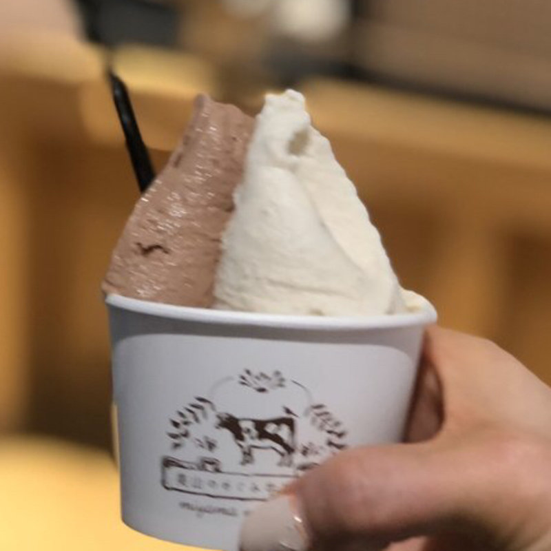 ジェラート・カップダブル（焼き栗・チョコレート）(美山のめぐみ牛乳工房)