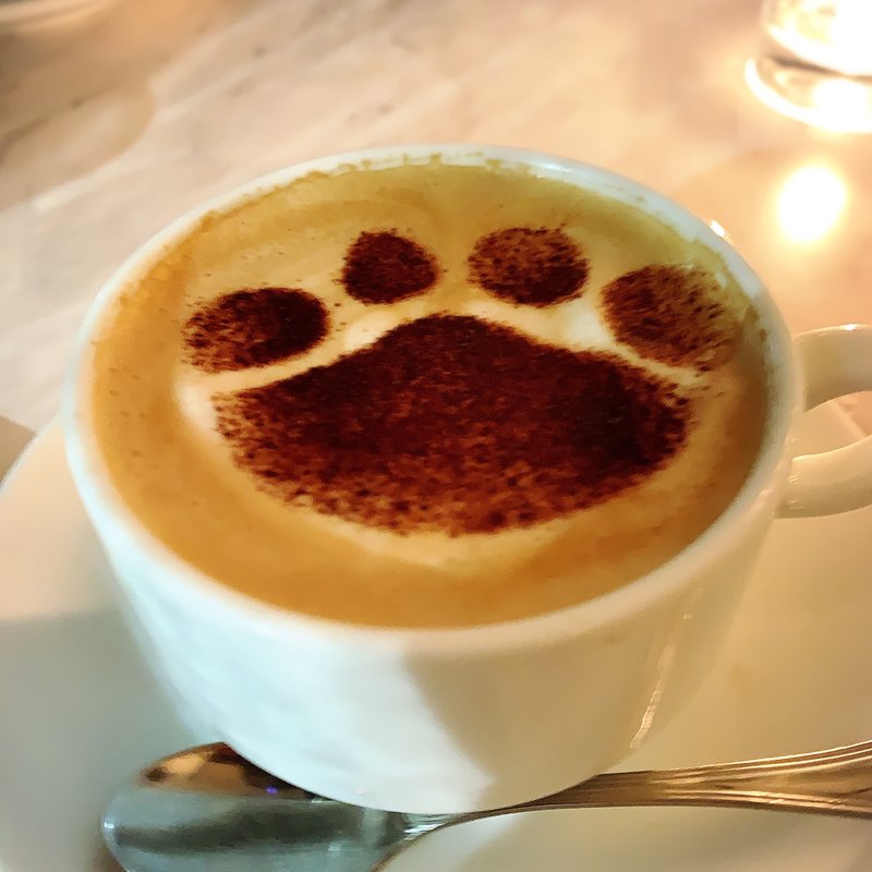 お得なスタンダードプラン(CAFE GITANE )