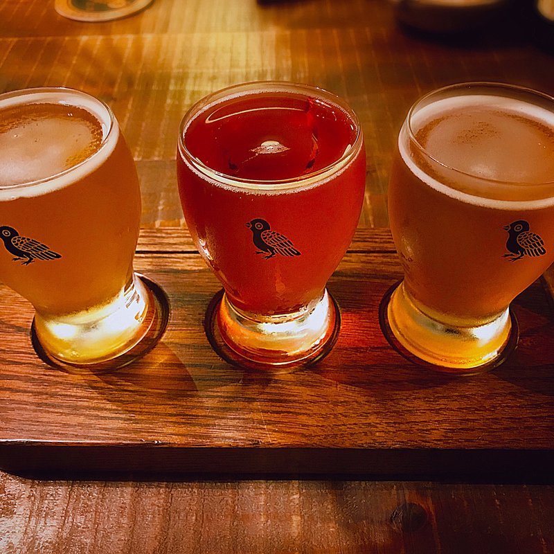 クラフトビール飲み比べセット(筥崎鳩太郎商店)