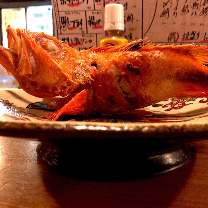 釣りきんき塩焼(夜ノ焼魚 ちょーちょむすび)