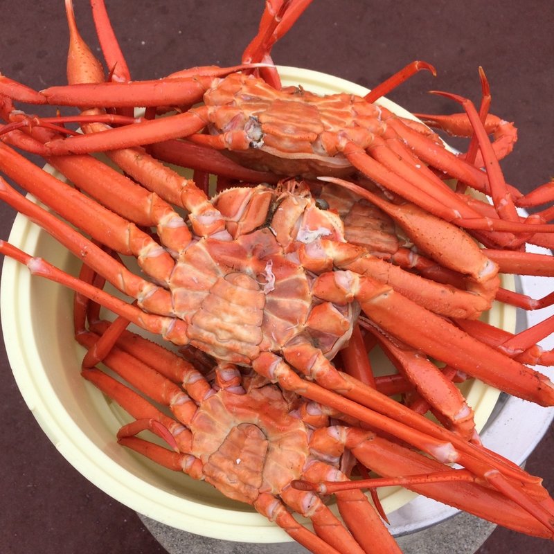 ズワイガニ(マリンドリーム能生 )