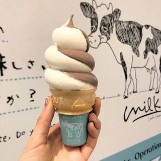 チョコミルクソフトクリーム(生クリーム専門店 Milk 新宿店)
