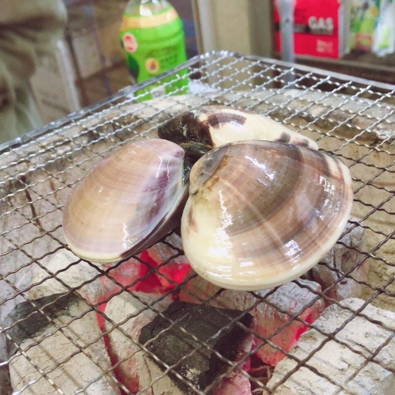 はまぐり(節子鮮魚店 )
