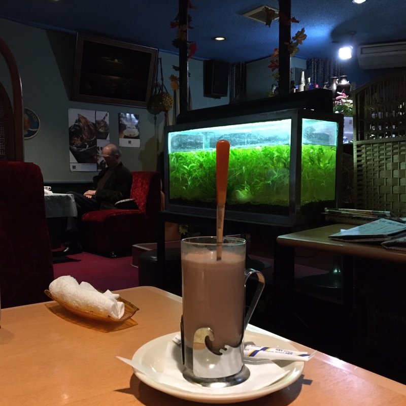 ココア(スワン )