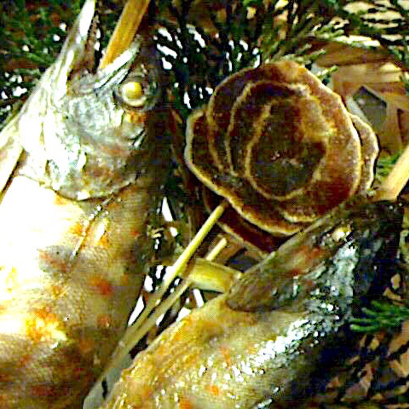 あめごの塩焼き(和の宿　ホテル祖谷温泉 （ナノヤドホテルイヤオンセン）)