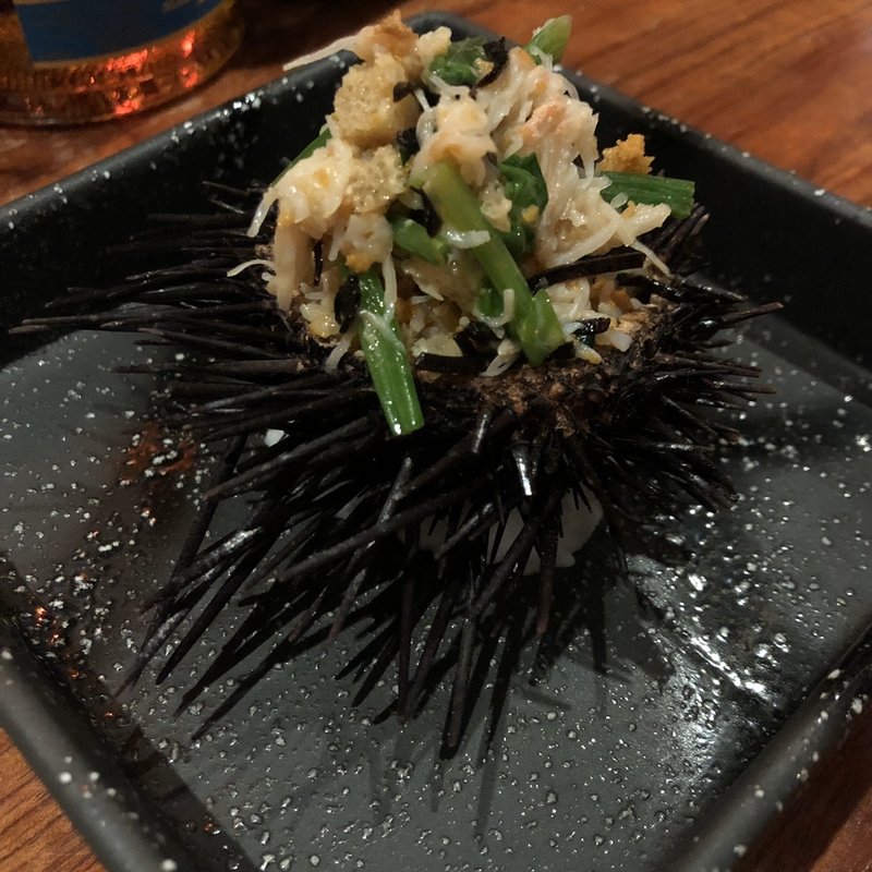 (プラスティックオーシャン)