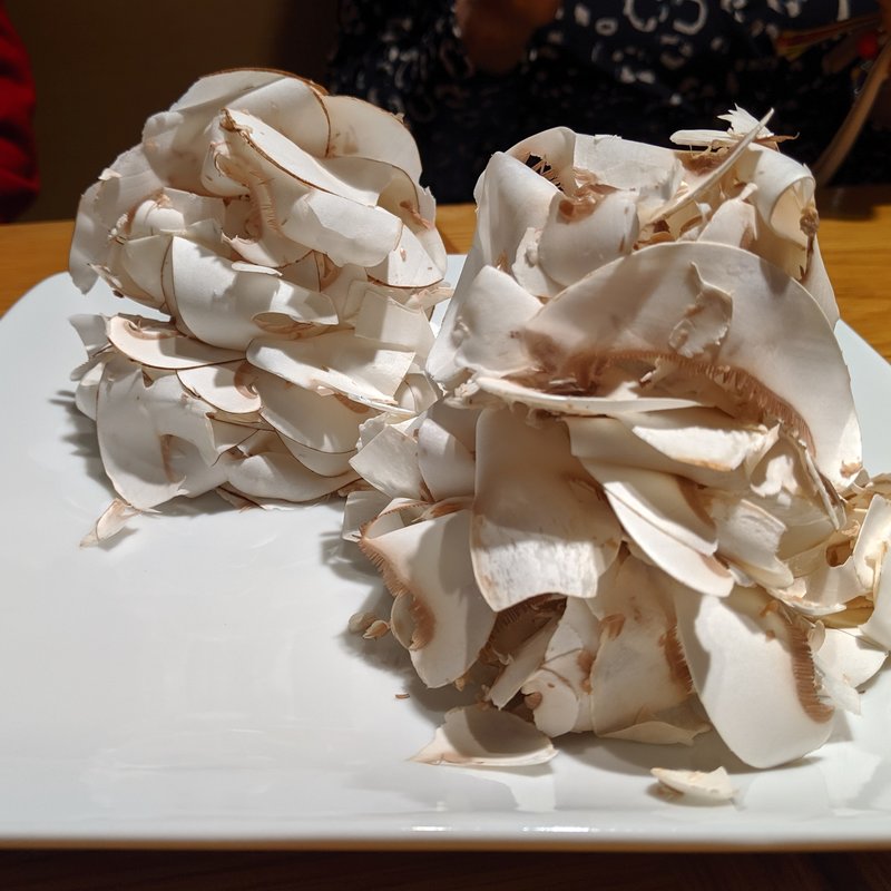 ひらひらマッシュルーム(MUSHROOM TOKYO（マッシュルームトーキョー 表参道）)