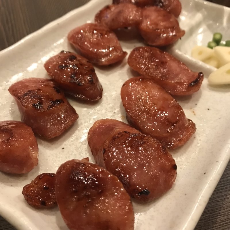 台湾ソーセージ(プラスミドx台湾食)