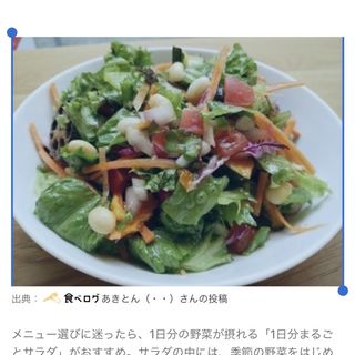 サラダボウル(ウィズグリーン)