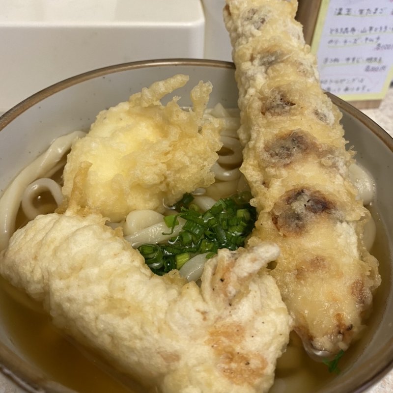 人気3種天ぷらうどん(讃岐うどん 直白)