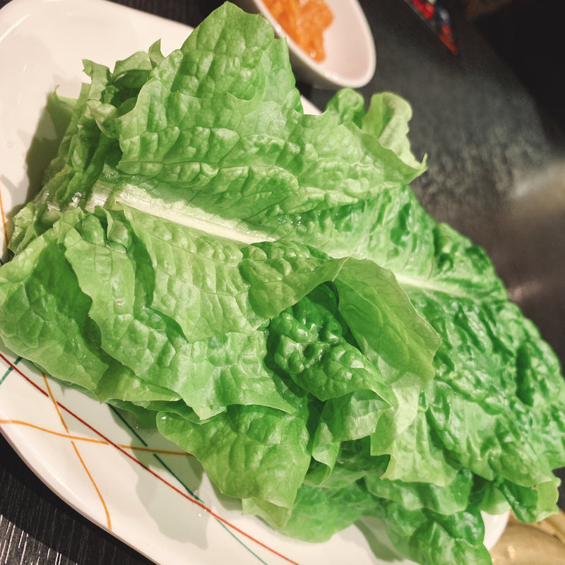 チシャ菜(宝園)