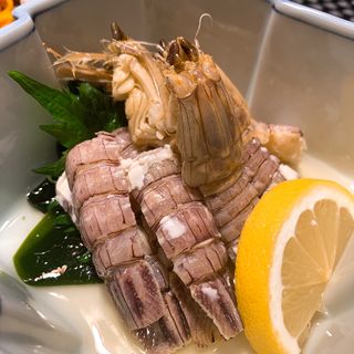 蝦蛄の酢漬け(酒囲屋本店 （さかいやほんてん）)