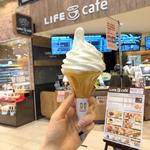 北海道サロベツ厳選牛乳ソフトクリーム