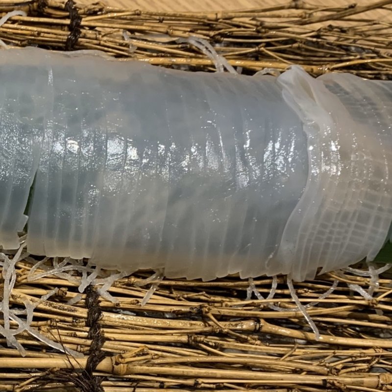 (イカセンター302 （【旧店名】カフェ エ トラットリア トレチェント ドゥエ）)