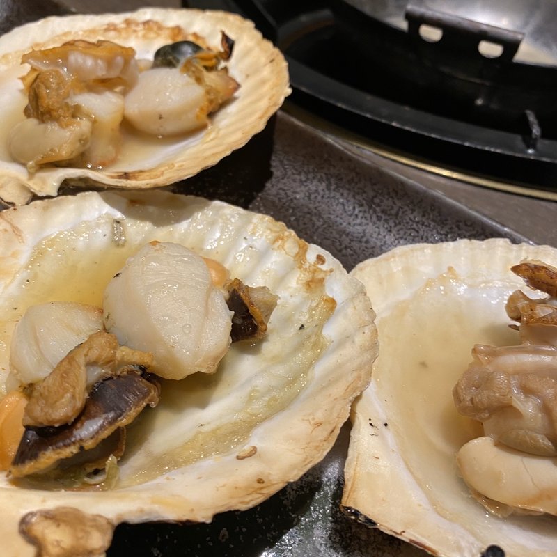 ホタテ(勇旬 いか太郎 )