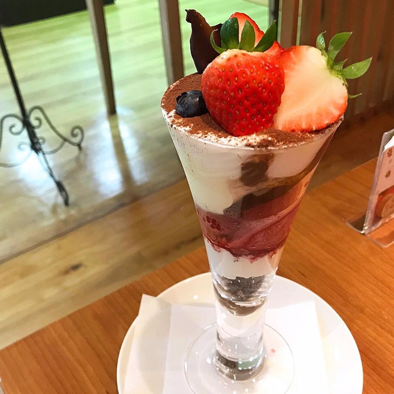 チョコパフェ(アデリーホシフルーツ)