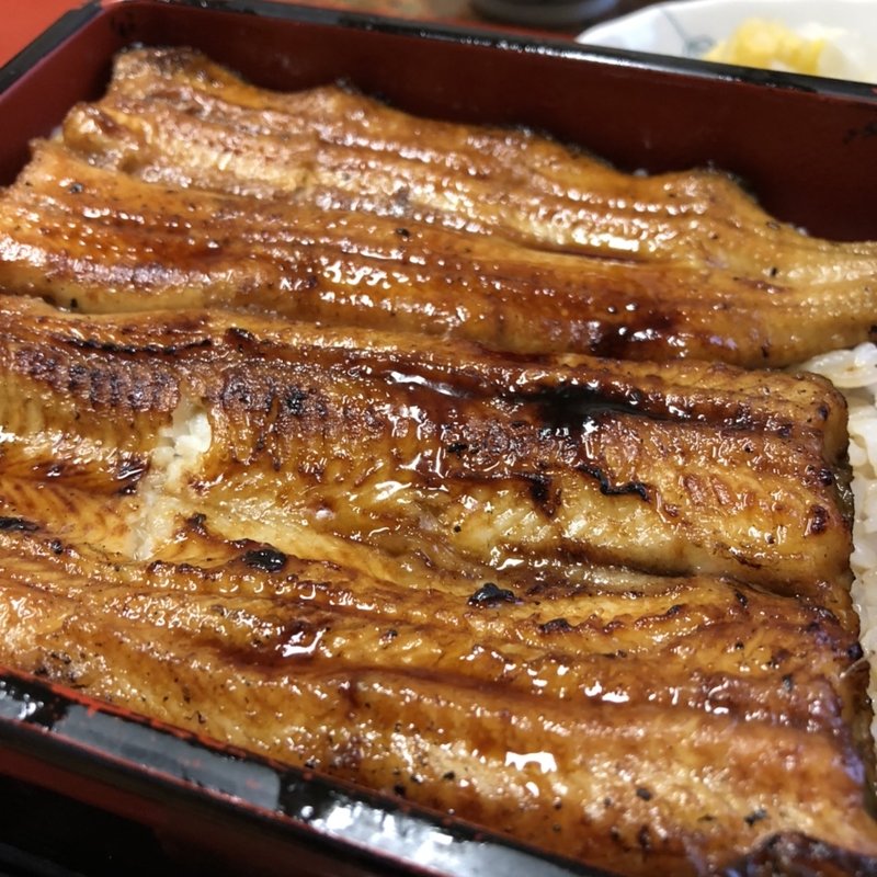 うな重(名鳥（なとり）)