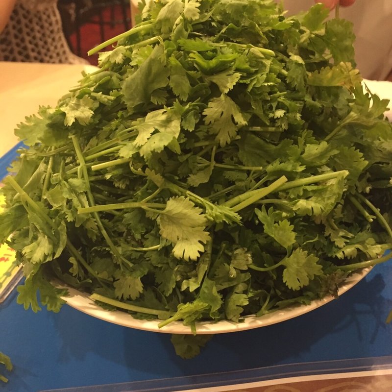 バケツパクチー(999 （カオカオカオ）)