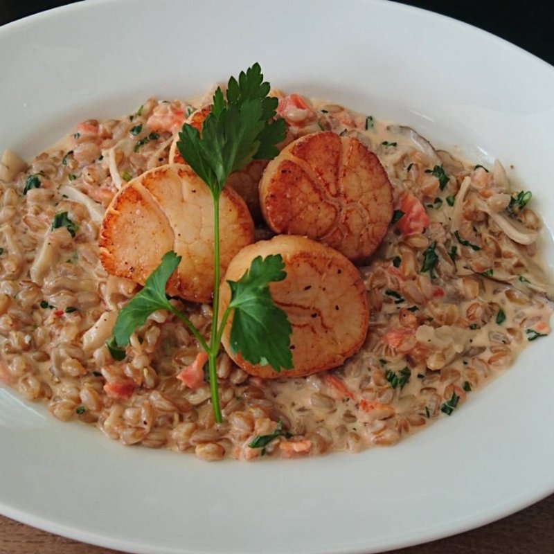 ホタテのロースト、ファロと舞茸のクリームリゾット(CICADA)