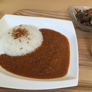 キーマカレー(森の梟 （モリノフクロウ）)