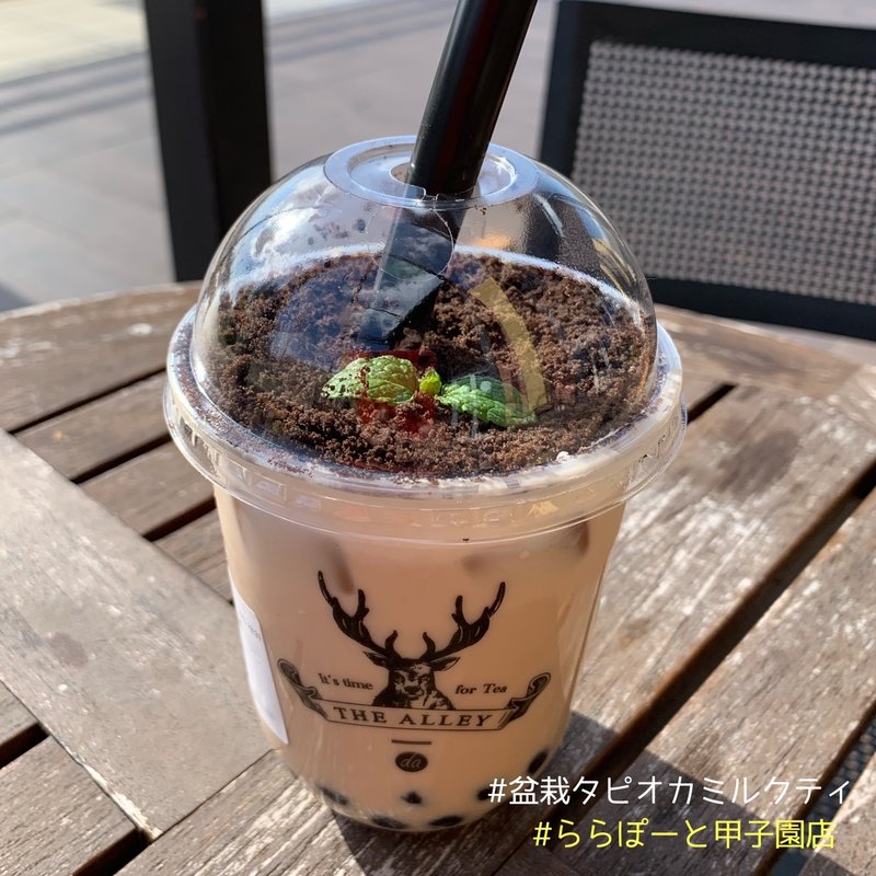 盆栽黒糖タピオカミルクティ(ららぽーと甲子園 )