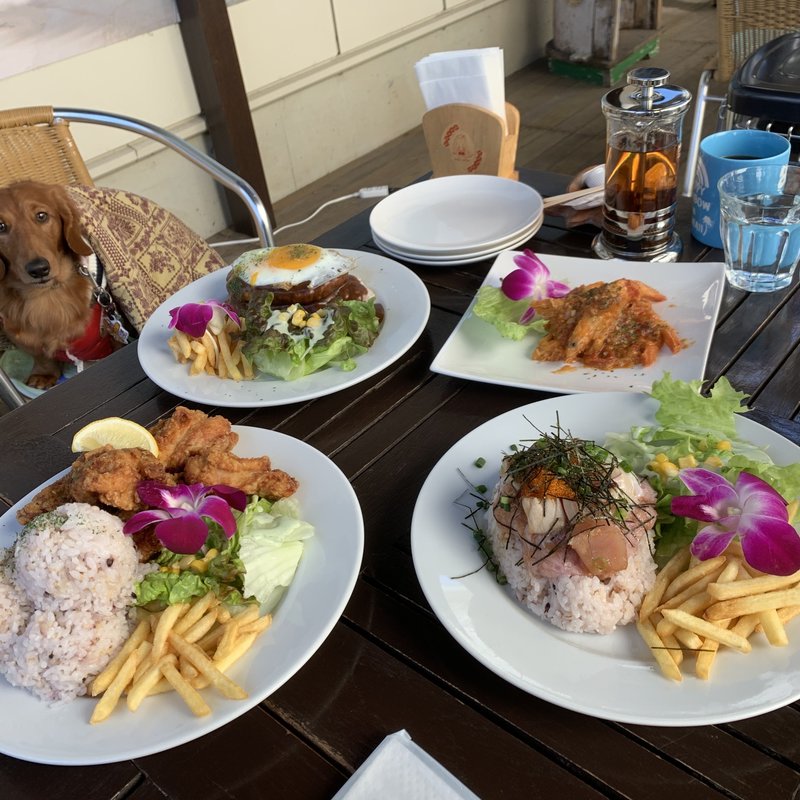 ロコモコ　唐揚げ　シュリンプ(ハウオリ 木更津店 （hauoli）)