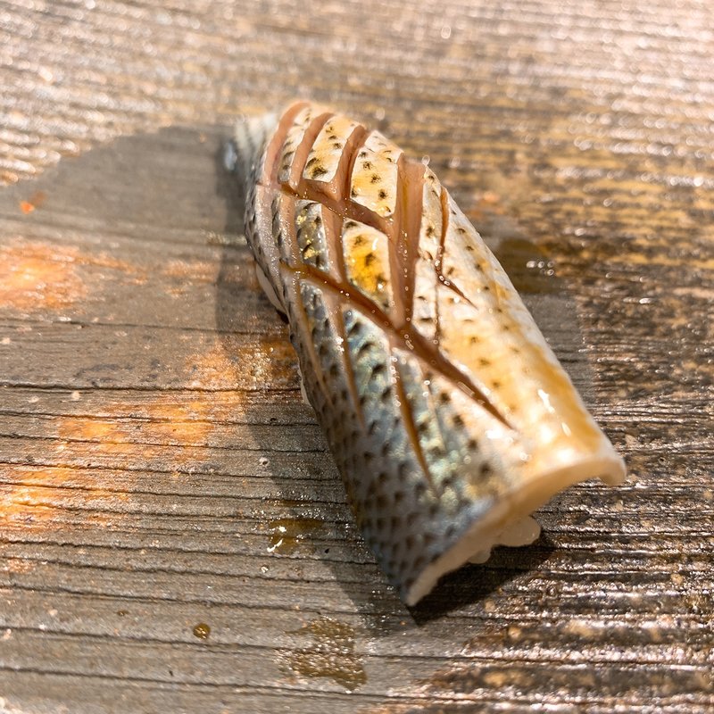 小肌(鮓木村建介)