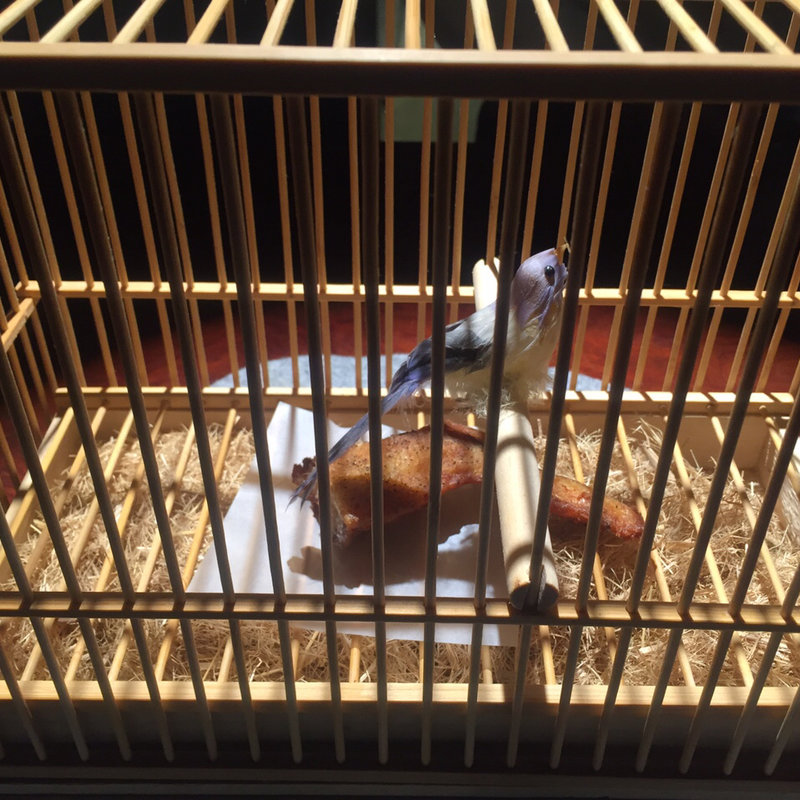 手羽先(RESTAU K YAMAUCHI)