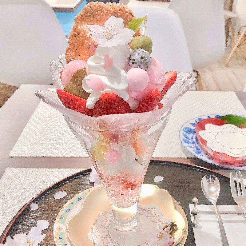 (マコハハ トミティ)