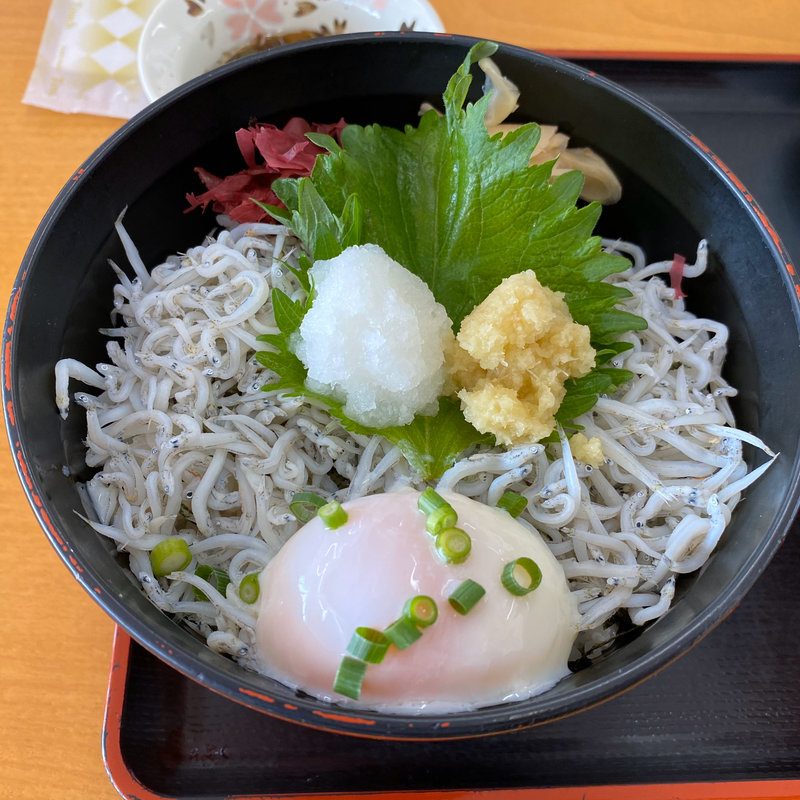 釜揚げしらす丼(大津漁協直営市場食堂 )