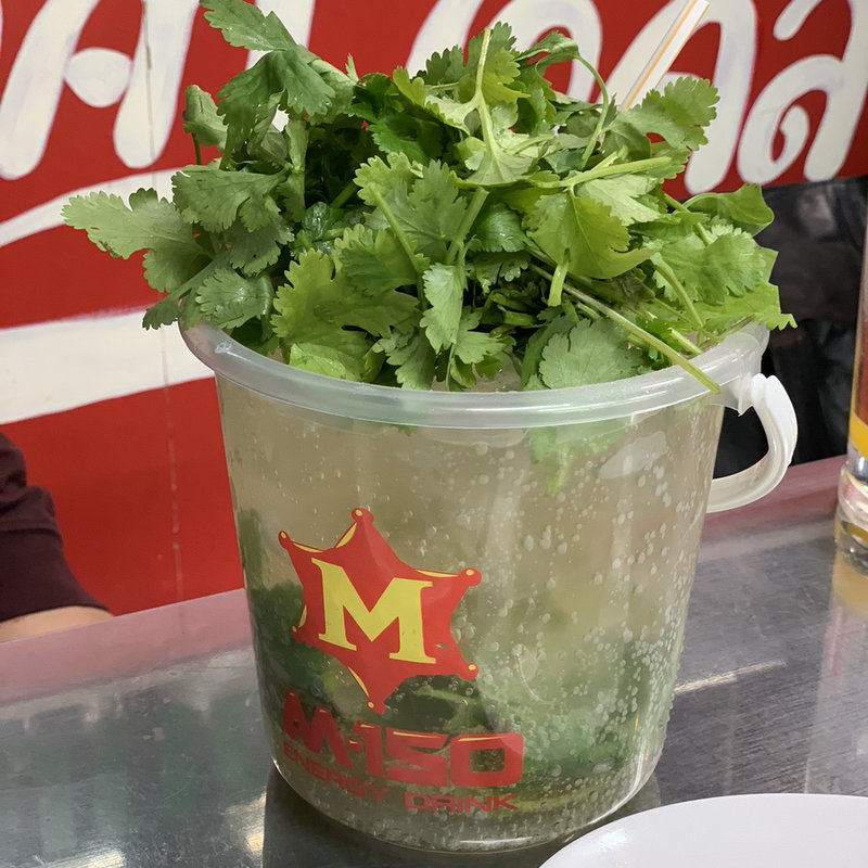 バケツパクチーチューハイ(999 新宿店)