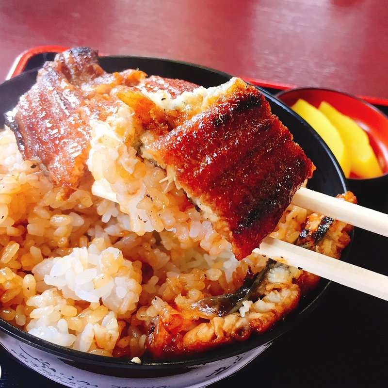 うな丼（並）(うなふじ )