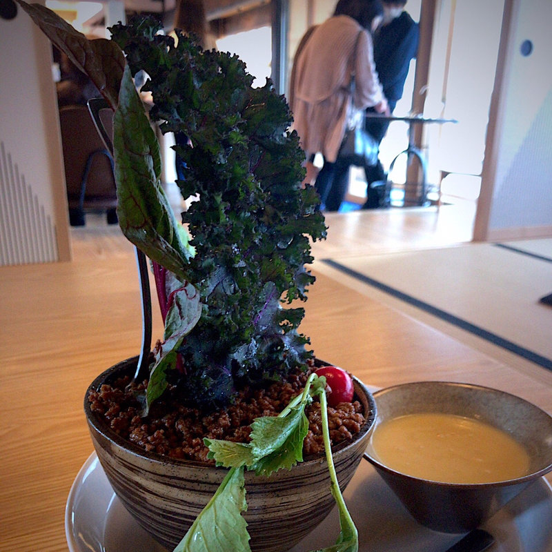 畑の中のアキウ舎ボウル(アキウ舎)