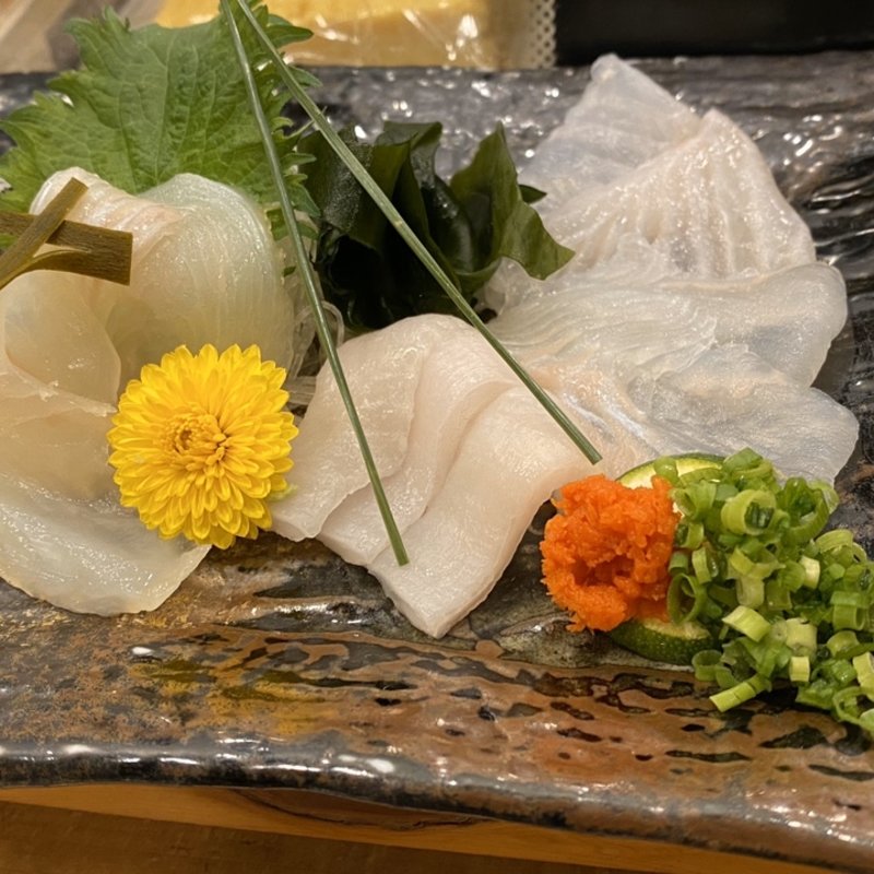 ヒラメ(はづき)