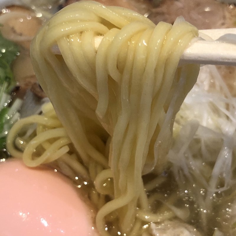 特製ラーメン(しお)(中華そば 光)