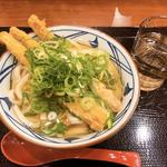 ごぼう天うどん