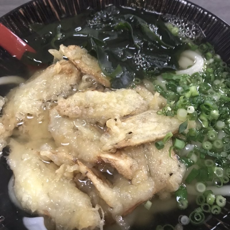 ごぼう天うどん(無岐乃古 （ムギノコ）)