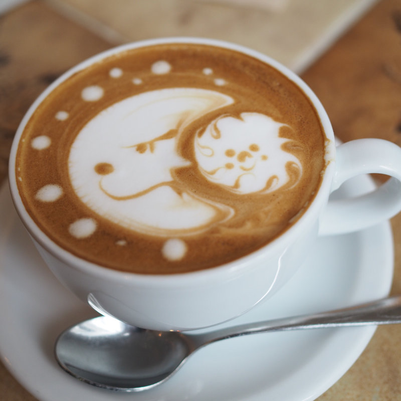 matin ラテ(北摂焙煎所 本店/cafe matin)