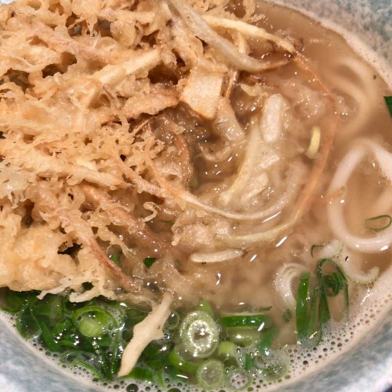 ごぼう天うどん(うどん つるや 本店)