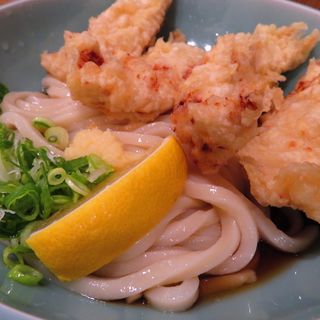 鶏天ぶっかけ(自家製うどん 和匠（わしょう）)