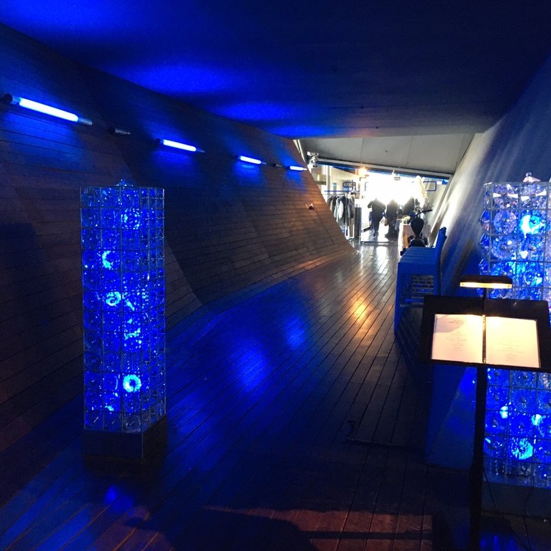 ランチコース(International cuisine subzero)