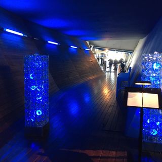 ランチコース(International cuisine subzero)