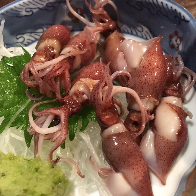 ほたるいか(鮪 やきとり須田)